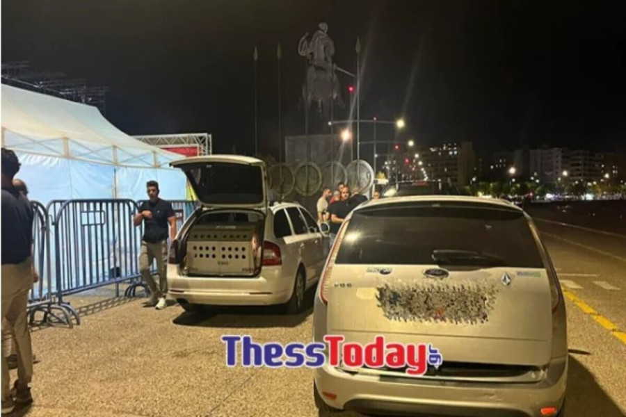 _οθόνης_2024-06-27_223133_1_13694.jpg