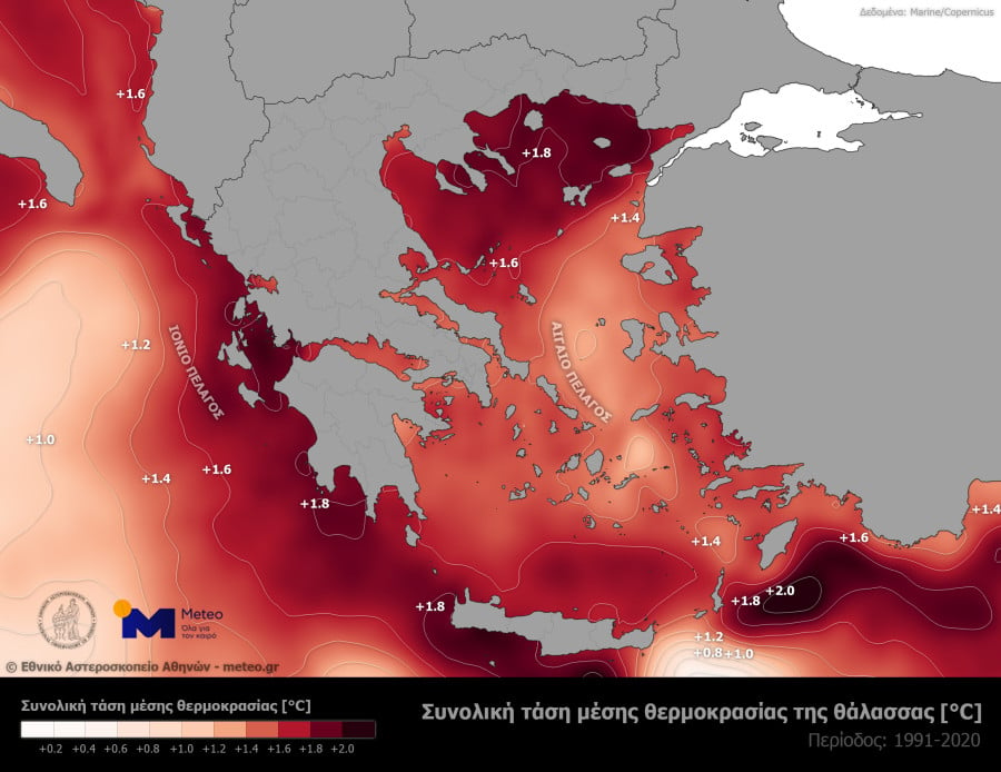 THALASSA1_b3a6b.jpg