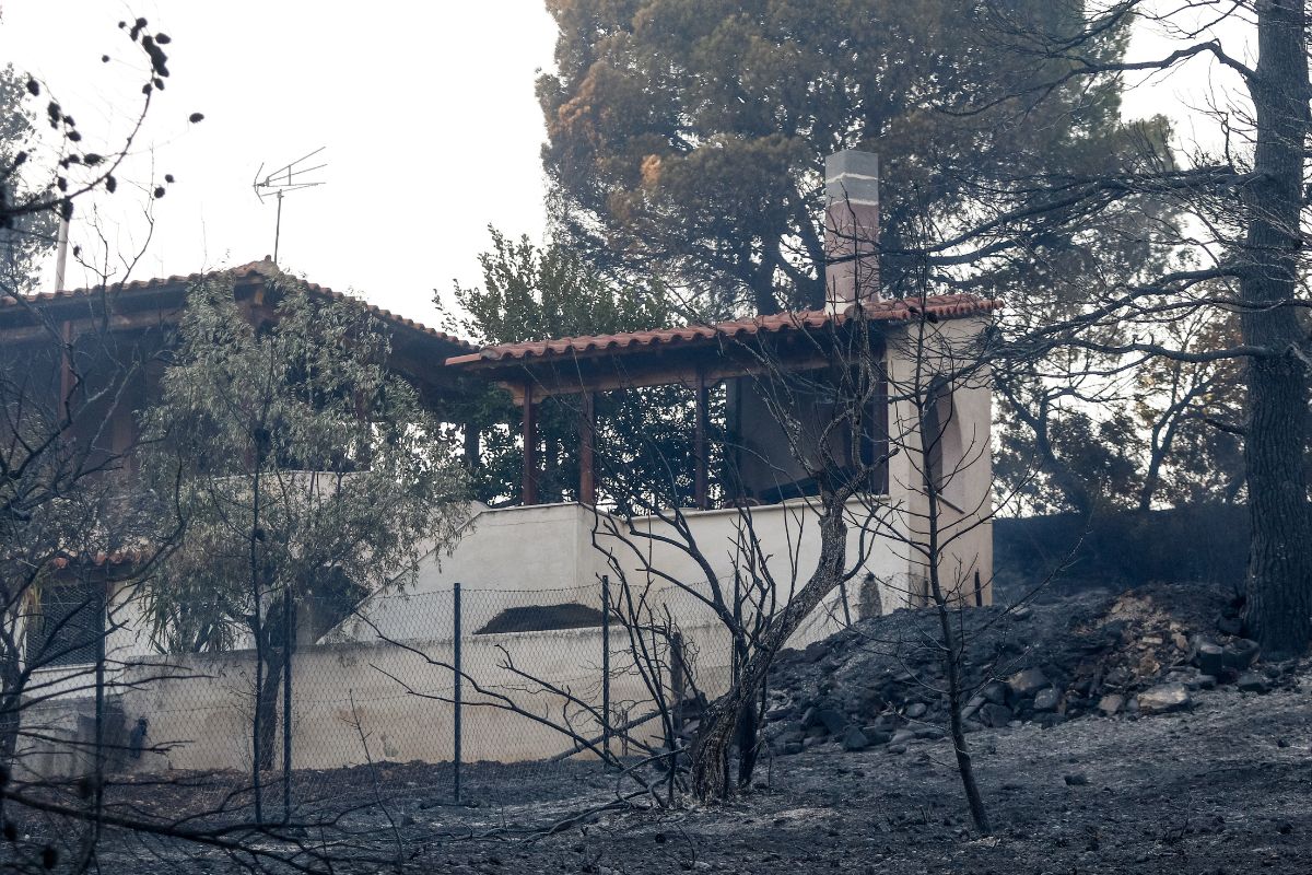 Σχέδιο χωρίς τίτλο 79