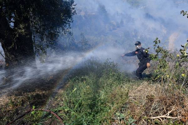 Φωτιά τώρα στο Γραμματικό Ηλείας