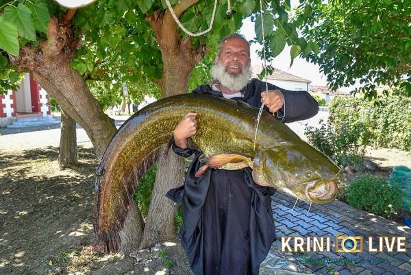 Τρίκαλα: Παπάς «έβγαλε» ψάρι 35 κιλών από τον Πηνειό