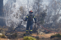 Θεσπρωτία: Οριοθετήθηκε η φωτιά στη Σαγιάδα