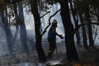 Φωτιά: Υψηλός κίνδυνος πυρκαγιάς την Τρίτη σε 15 περιοχές