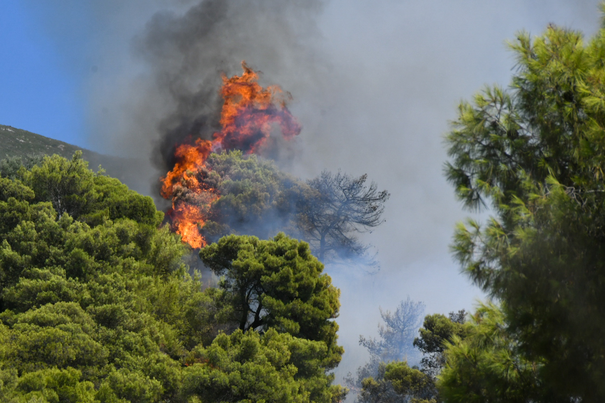 Φωτιές: Καλύτερη η εικόνα σε Αχαΐα και Ρέθυμνο