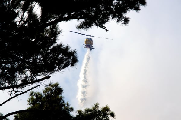 Φωτιά τώρα στη Μαραθέα Αργολίδας - Σηκώθηκαν και πέντε εναέρια μέσα