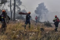 Μεγάλη φωτιά στον Συκεώνα Καρδίτσας - Κινητοποίηση της Πυροσβεστικής από όλη τη Θεσσαλία