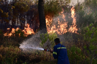 Φωτιά στη Σταμάτα: Δεν υπάρχει ενεργό μέτωπο - Συνεχίζεται η μάχη με τις φλόγες (εικόνες, βίντεο)
