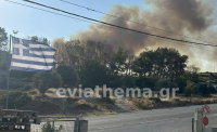 Υπό έλεγχο και οι δύο φωτιές στην Εύβοια