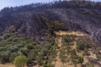 Πυροπροστασία ακινήτων: 1 εκατομμύριο ιδιοκτήτες στην Αττική απειλούνται με πρόστιμο