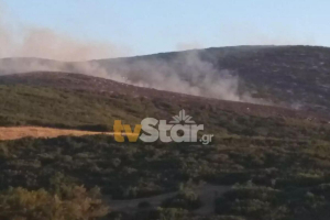 Φωτιά στο Πετρωτό Φθιώτιδας - Επιχειρούν επίγεια και εναέρια μέσα