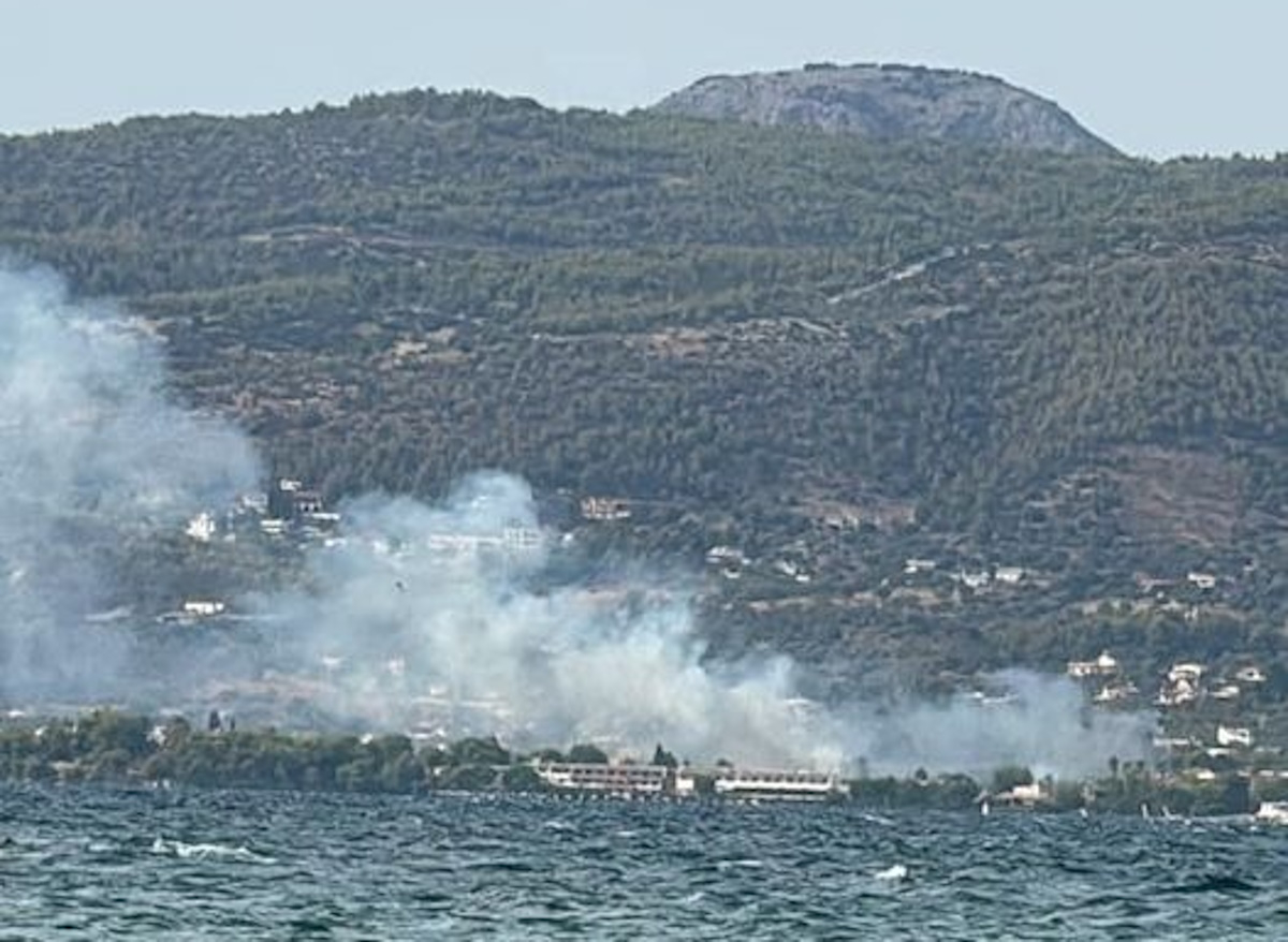 Υπό έλεγχο η φωτιά στην Ερέτρια