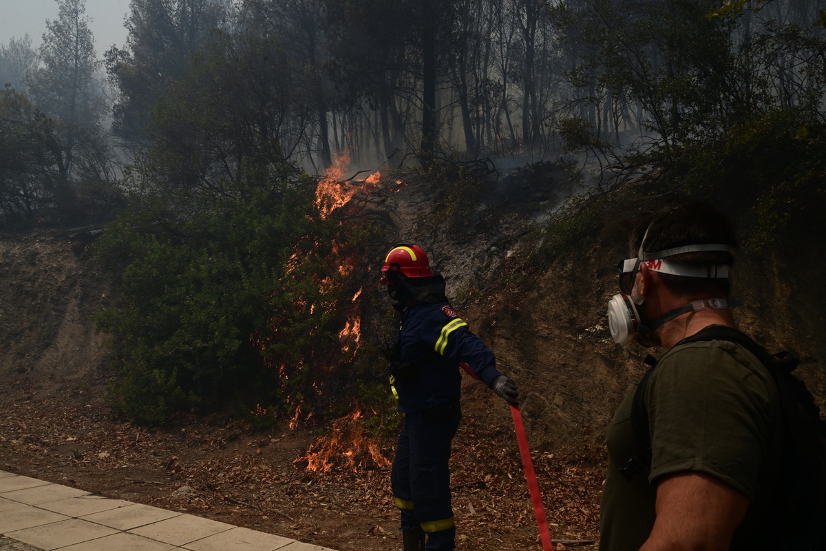 Φωτιά τώρα στη Μαγνησία - Στον Πλατανιά Πηλίου οι φλόγες