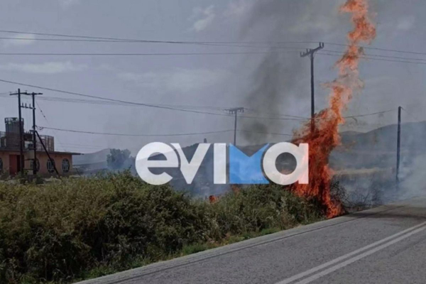 Φωτιά τώρα στην Εύβοια - Καίει κοντά σε σπίτια