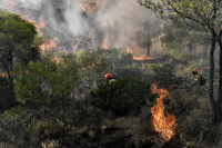 Φωτιά στις Σέρρες: Καίει για 14 ημέρες - Συνεχίζεται η μάχη στο Αχλαδοχώρι