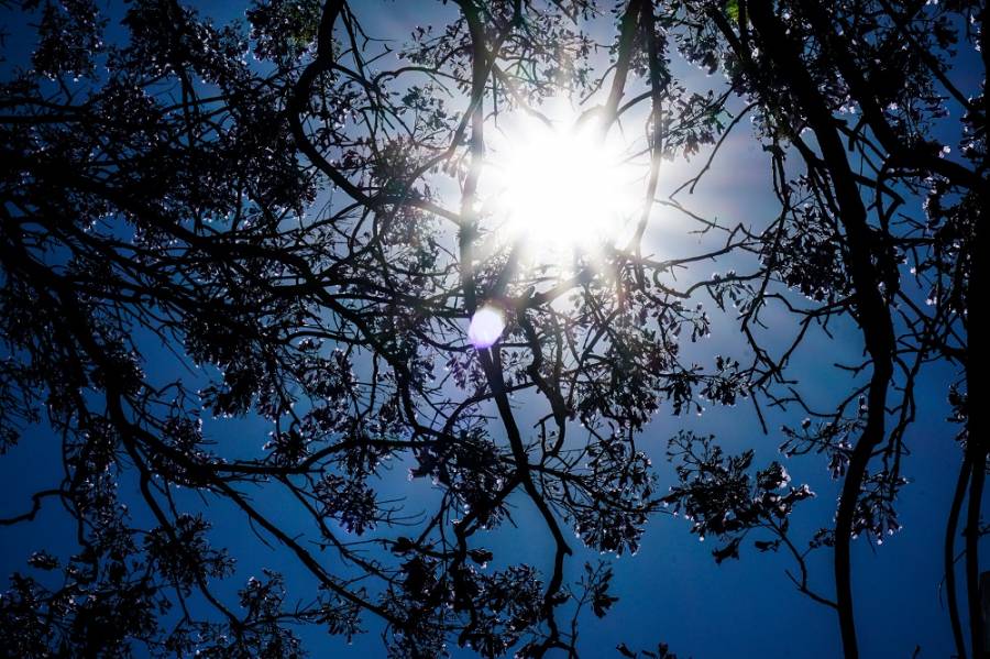 Τι καιρό θα κάνει του Αγίου Πνεύματος