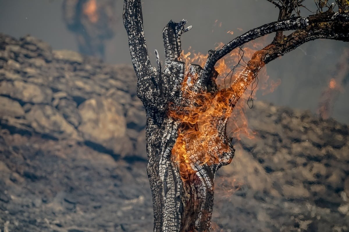 Πολύ υψηλός κίνδυνος πυρκαγιάς για 5 περιφέρειες την Κυριακή (14/7)