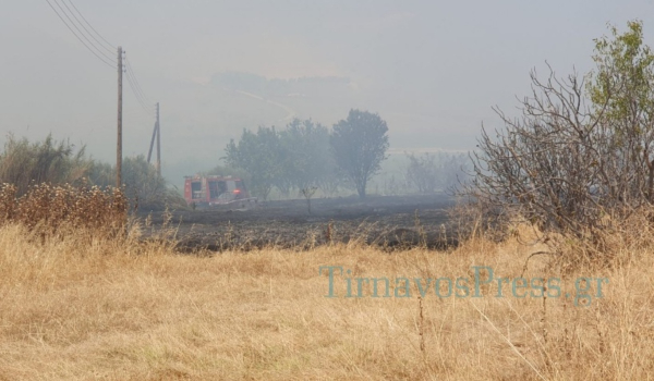 Μεγάλη φωτιά τώρα στη Βρύση Τυρνάβου