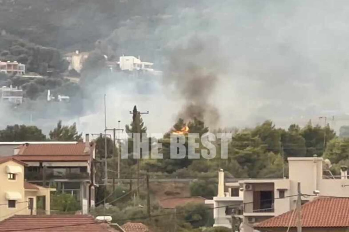 Φωτιά στο Πλατάνι Αχαΐας - Κοντά στην Πάτρα (Βίντεο)