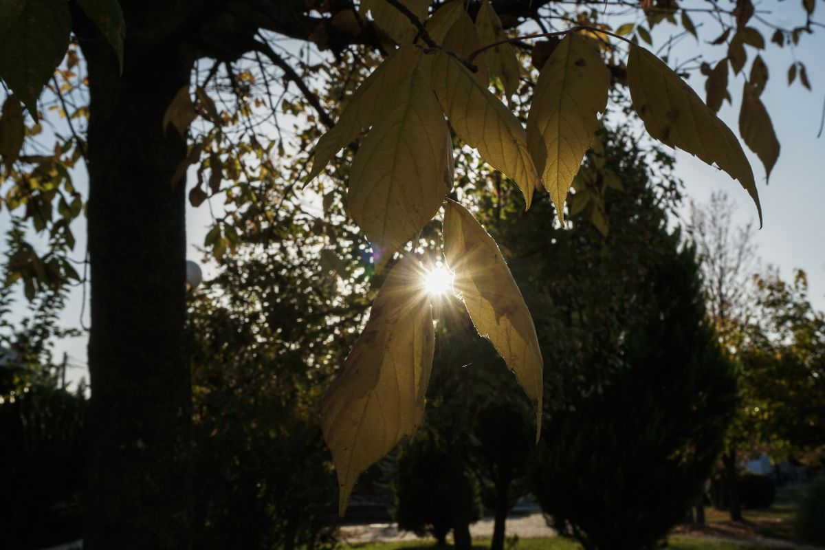 Kαιρός: Ζέστη, σκόνη και ισχυροί νοτιάδες - Έρχεται τσουχτερό κρύο