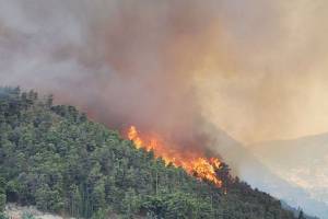 Φωτιά σε εξέλιξη κοντά στην λίμνη Καϊάφα