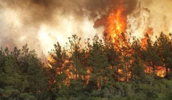 Συνελήφθη 67χρονος για τη φωτιά στη Βόλβη – Η πυρκαγιά ξέσπασε από θεριζοαλωνιστική μηχανή
