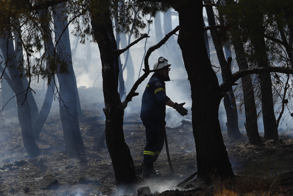 Πυροσβεστική: Είκοσι έξι αγροτοδασικές πυρκαγιές μέσα σε 24 ώρες σε όλη τη χώρα