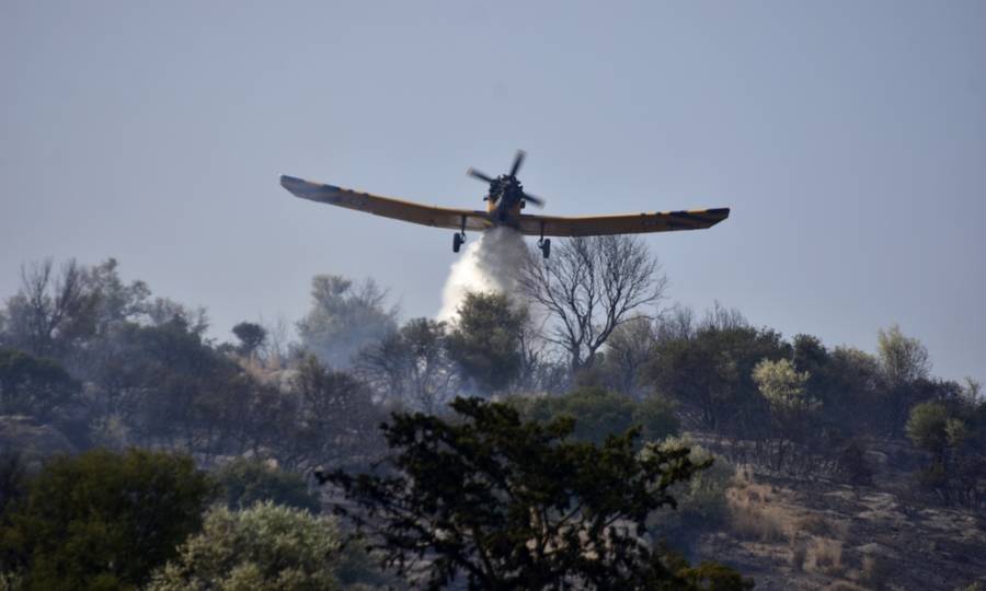 Φωτιά στην Επίδαυρο - Ενισχύθηκαν οι δυνάμεις της Πυροσβεστικής