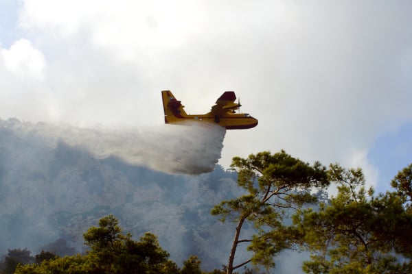 Φωτιά στο περιαστικό δάσος της Ξάνθης - Μήνυμα από το 112