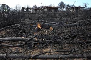 Ενισχύσεις 2,3 εκατ. σε 11 δήμους για την αποκατάσταση ζημιών