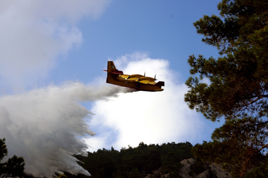 Φωτιά στη Φθιώτιδα - Επιχειρούν εναέρια μέσα