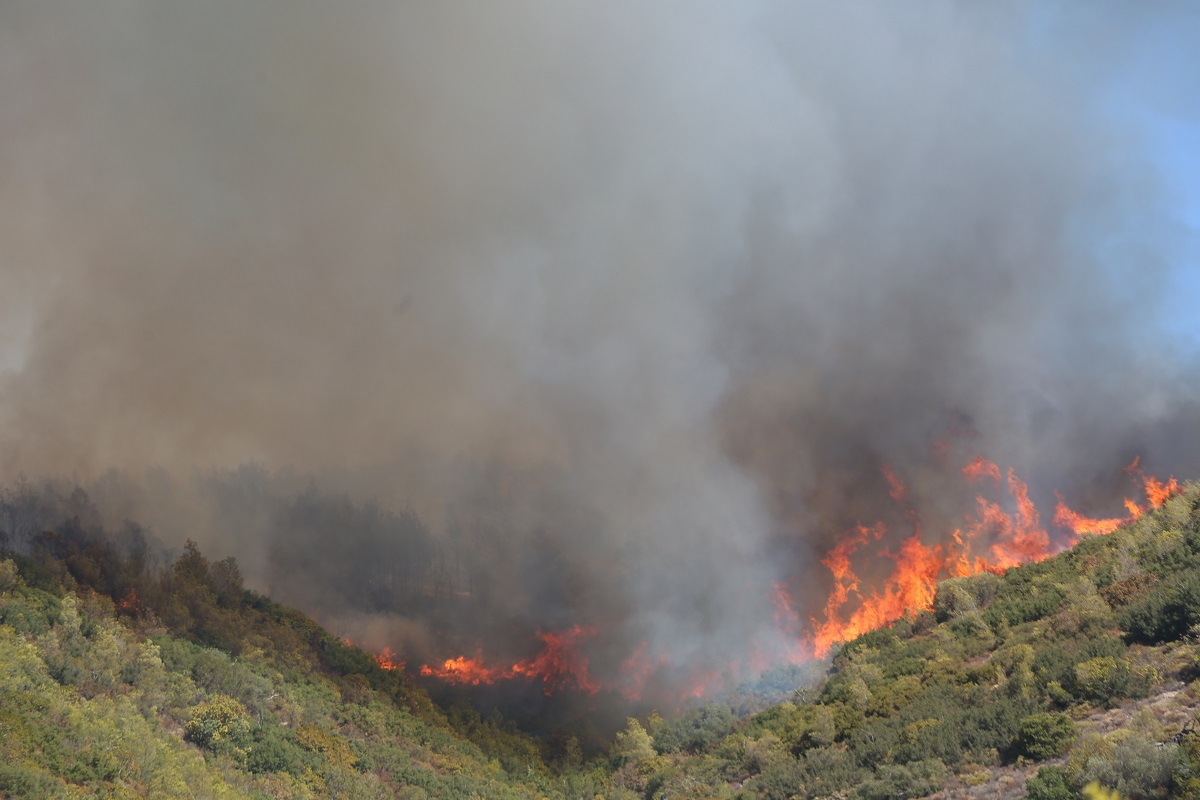 Φωτιά τώρα: 112 στη Νέα Πεντέλη - «Απομακρυνθείτε προς Χαλάνδρι»