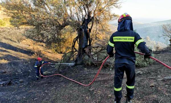 Φωτιά σε εξέλιξη στην περιοχή Λάλας του δήμου Αρχαίας Ολυμπίας