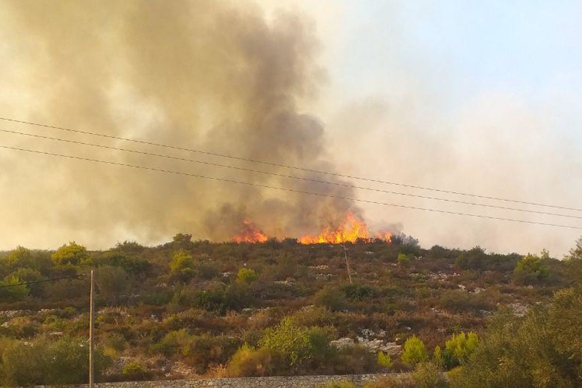 Ζάκυνθος: Δημοτικός αστυνομικός ο 58χρονος που συνελήφθη για φωτιές στο νησί - Τις άναβε με «φιδάκια»