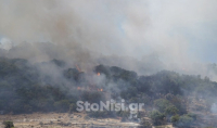 Καλύτερη εικόνα στη φωτιά στη Λέσβο - Υπό έλεγχο στις Καμάρες Καλλονής (βίντεο)