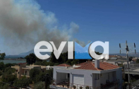 Υπό έλεγχο η φωτιά στη Νέα Αρτάκη της Εύβοιας (βίντεο)