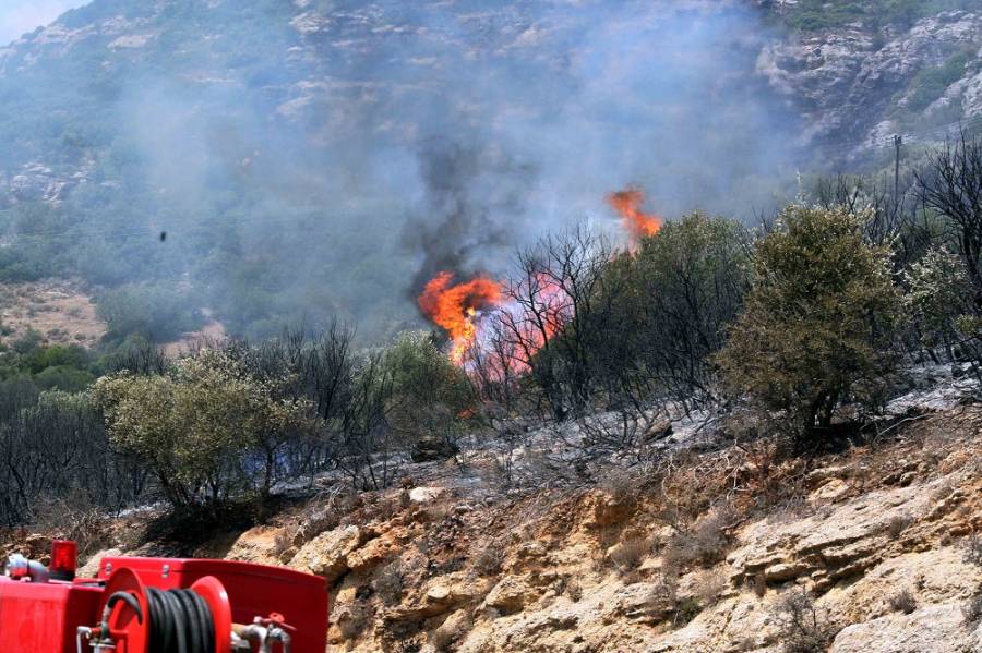 Κόρινθος: Υπό μερικό έλεγχο η φωτιά στο Ελληνοχώρι