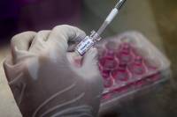 Κορονοϊός - Εμβόλια: Πού βρισκόμαστε μετά από 9 μήνες;