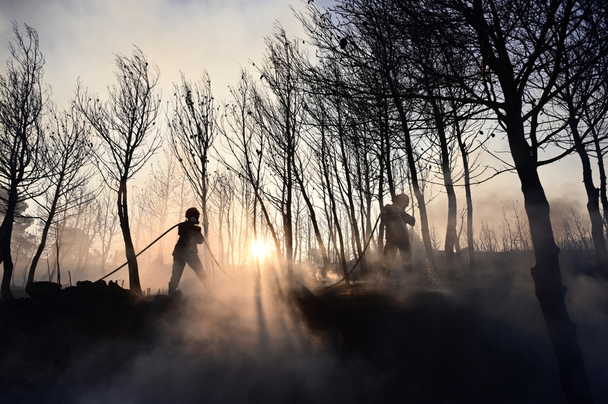 Φωτιά στη Σταμάτα: Η πύρινη κόλαση μέσα από τον φακό - Συγκλονιστικές εικόνες