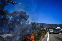 Απο πού ξεκίνησε η φωτιά στο Σοφικό: Καίνε μικρές εστίες