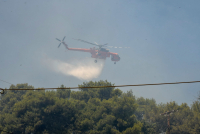 Φωτιά τώρα στην Αλεξανδρούπολη