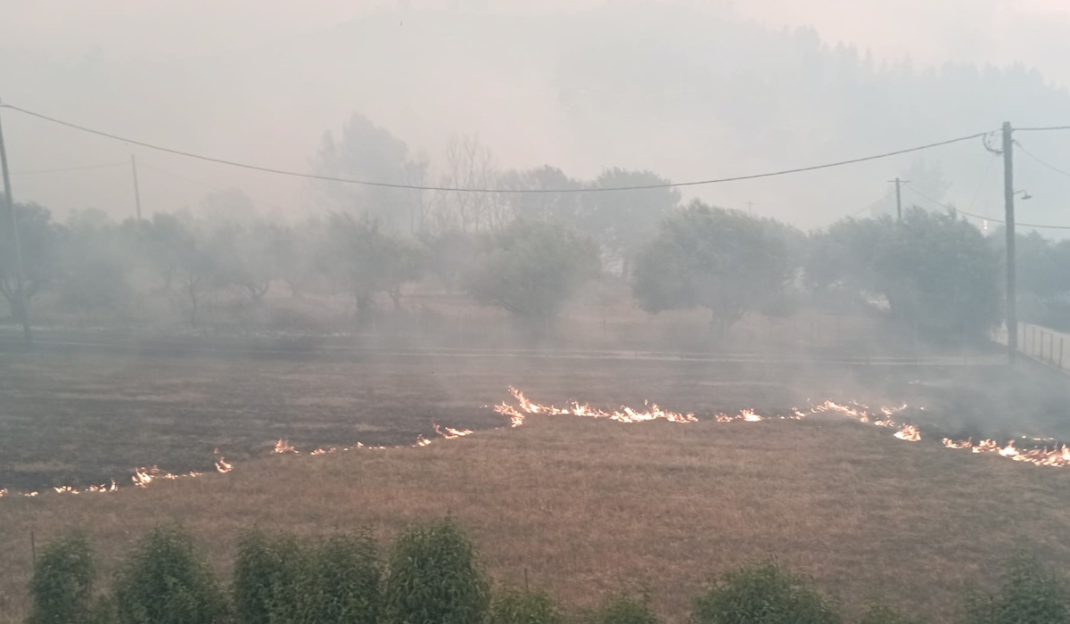 ΦΩΤΟΓΡΑΦΙΑ ΑΡΧΕΙΟΥ