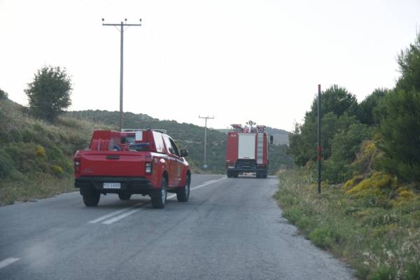 Σαλαμίνα: Υπό έλεγχο η πυρκαγιά στην Κακή Βίγλα