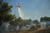 Φωτιά τώρα στα Καλύβια Αττικής - Ισχυρή δύναμη της Πυροσβεστικής στο σημείο