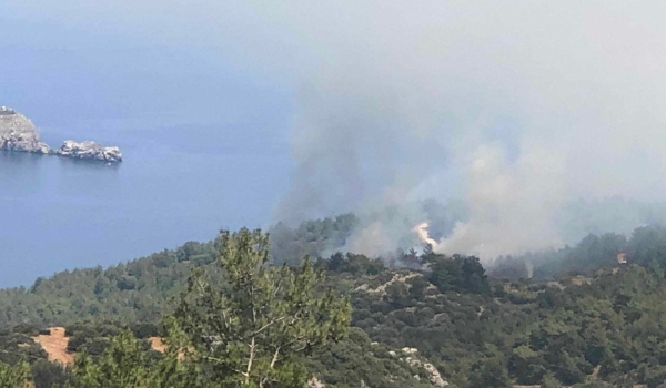 Φωτιά τώρα στη Χίο - Σηκώθηκαν 3 αεροσκάφη