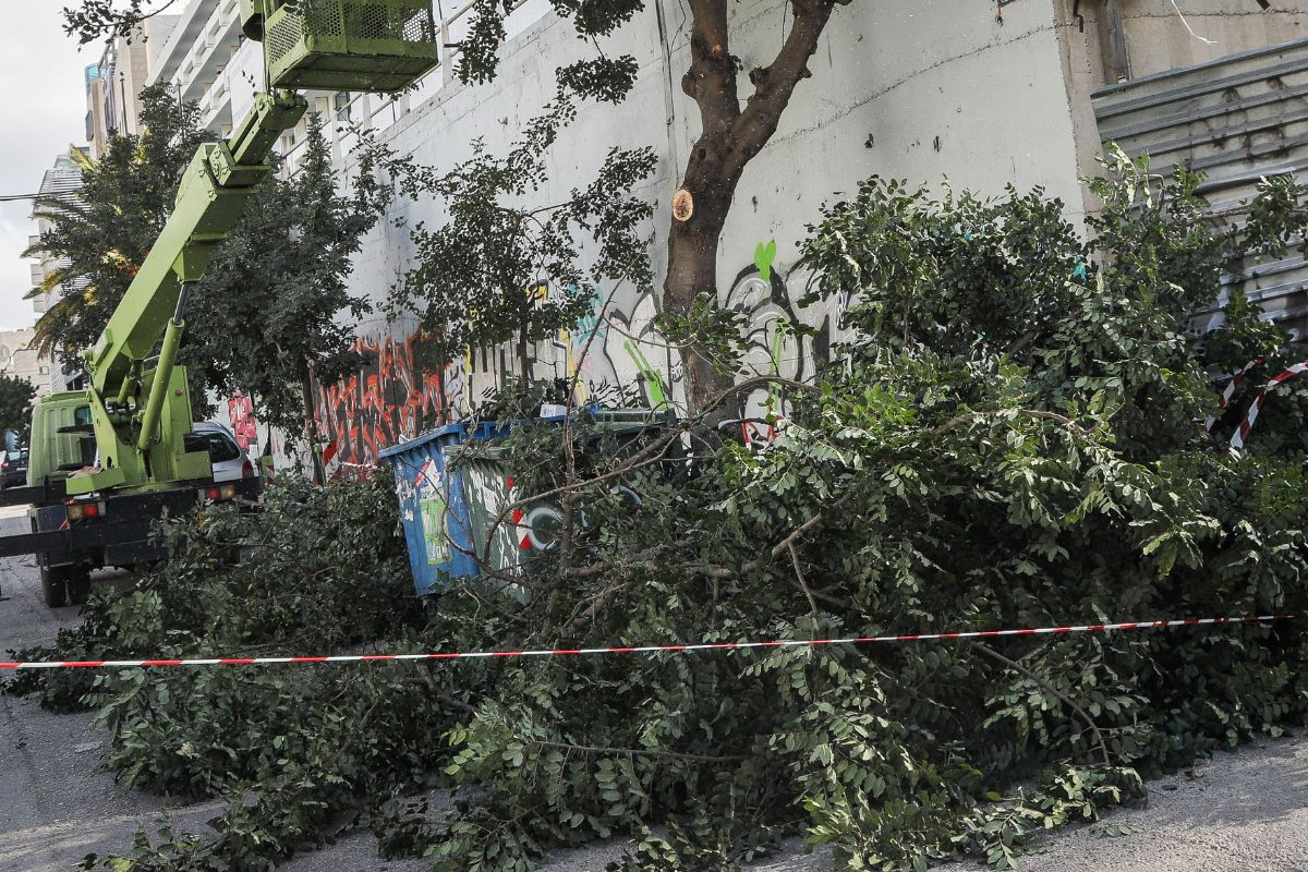 Τραγωδία σε εστιατόριο στην Πιερία: Κλαδί πλατάνου σκότωσε 44χρονη