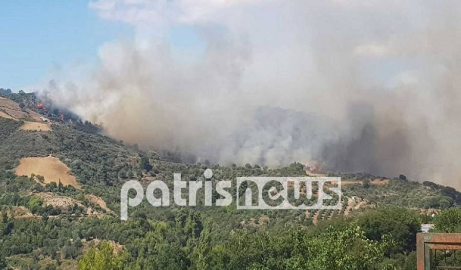 Φωτιά στην Ηλεία: Νέα πύρινα μέτωπα - Ενισχύονται οι πυροσβεστικές δυνάμεις