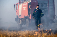 Φωτιά τώρα στην Αργολίδα - Ισχυρές δυνάμεις της Πυροσβεστικής στο σημείο