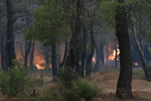 Μεγάλη αναζωπύρωση στην Πάρνηθα: Κίνδυνος επέκτασης της φωτιάς στους Θρακομακεδόνες