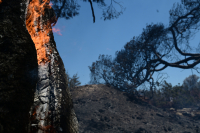 Φωτιά στις Σέρρες: Καίει για 18η μέρα η πυρκαγιά στο όρος Όρβηλος - Πέρασε στη Βουλγαρία