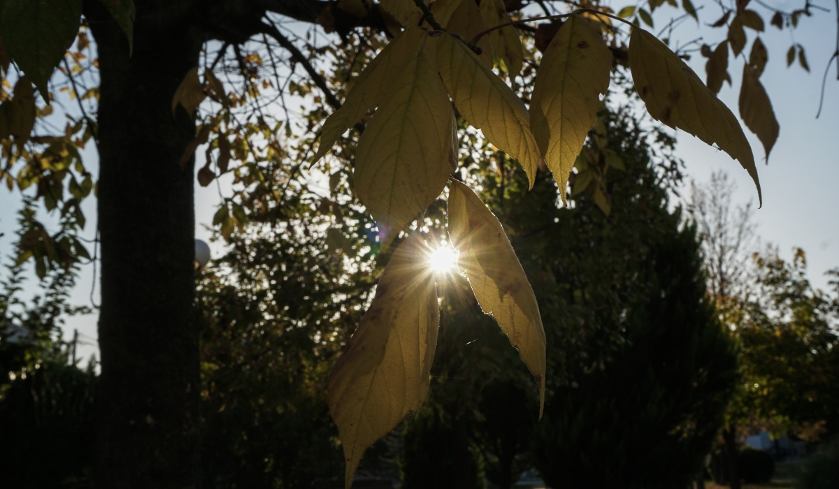 Καιρός-meteo: Ανοιξιάτικο σκηνικό το Σάββατο, έως και 18 βαθμοί